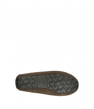 Mens Ascot - Suede Chocolate 5775